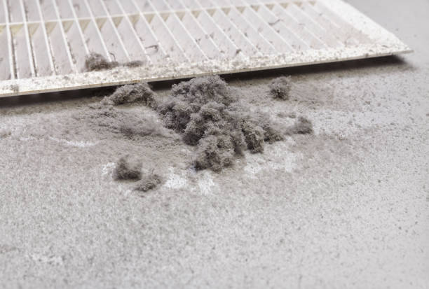 Best Professional Duct Cleaning Services  in Middlebury, IN