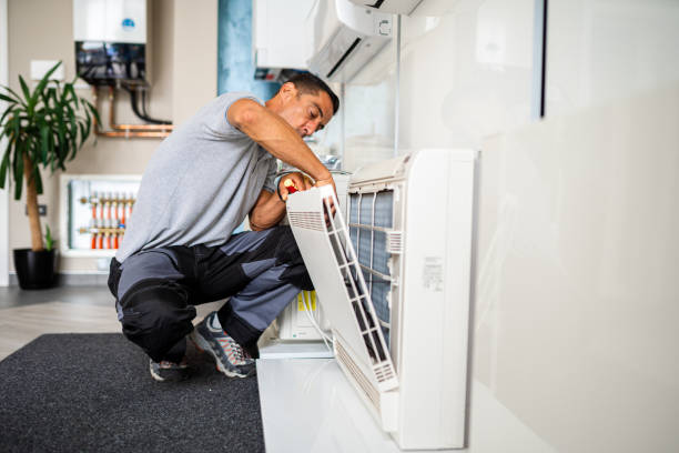 Best Air Duct Mold Removal  in Middlebury, IN